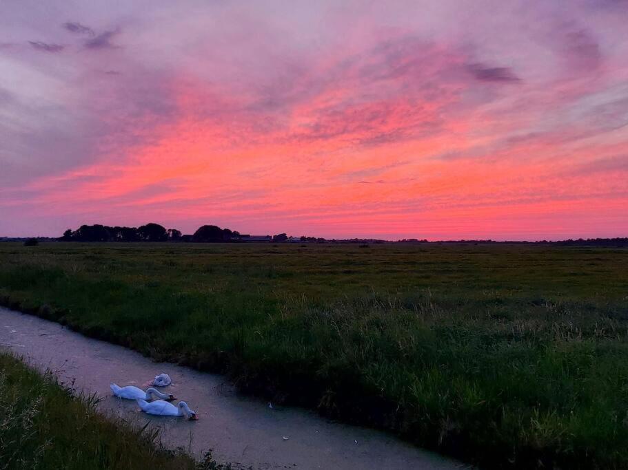 Tiny House "De Veenpolder" De Veenhoop Buitenkant foto