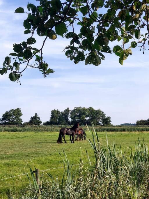 Tiny House "De Veenpolder" De Veenhoop Buitenkant foto